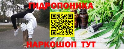 дмт Будённовск